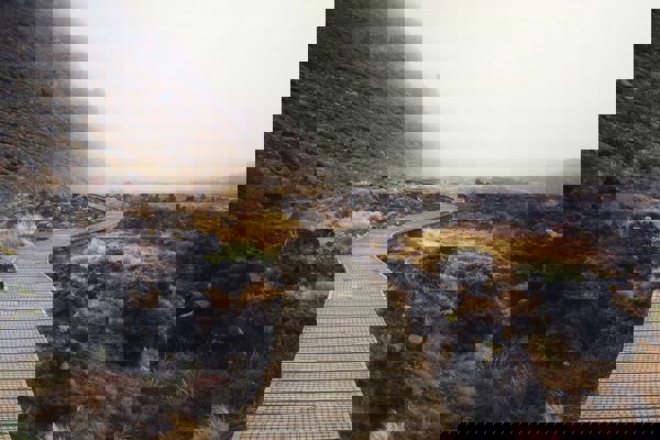 Hannah Wright Kxsar9yzda4 Unsplash