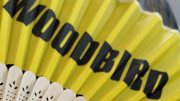 Mød Woodbird En Del Af Lifestyle Hub Aarhus Cover