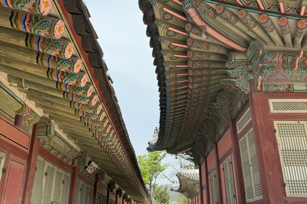 20240419 030528260 Ios (1)