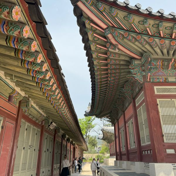 20240419 030528260 Ios (1)