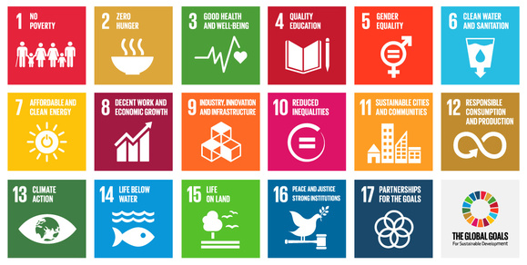 U.N. Development Goals