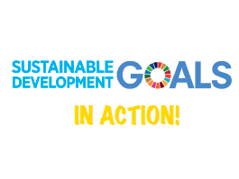 SDG In Action: Get Started With The UN World Goal