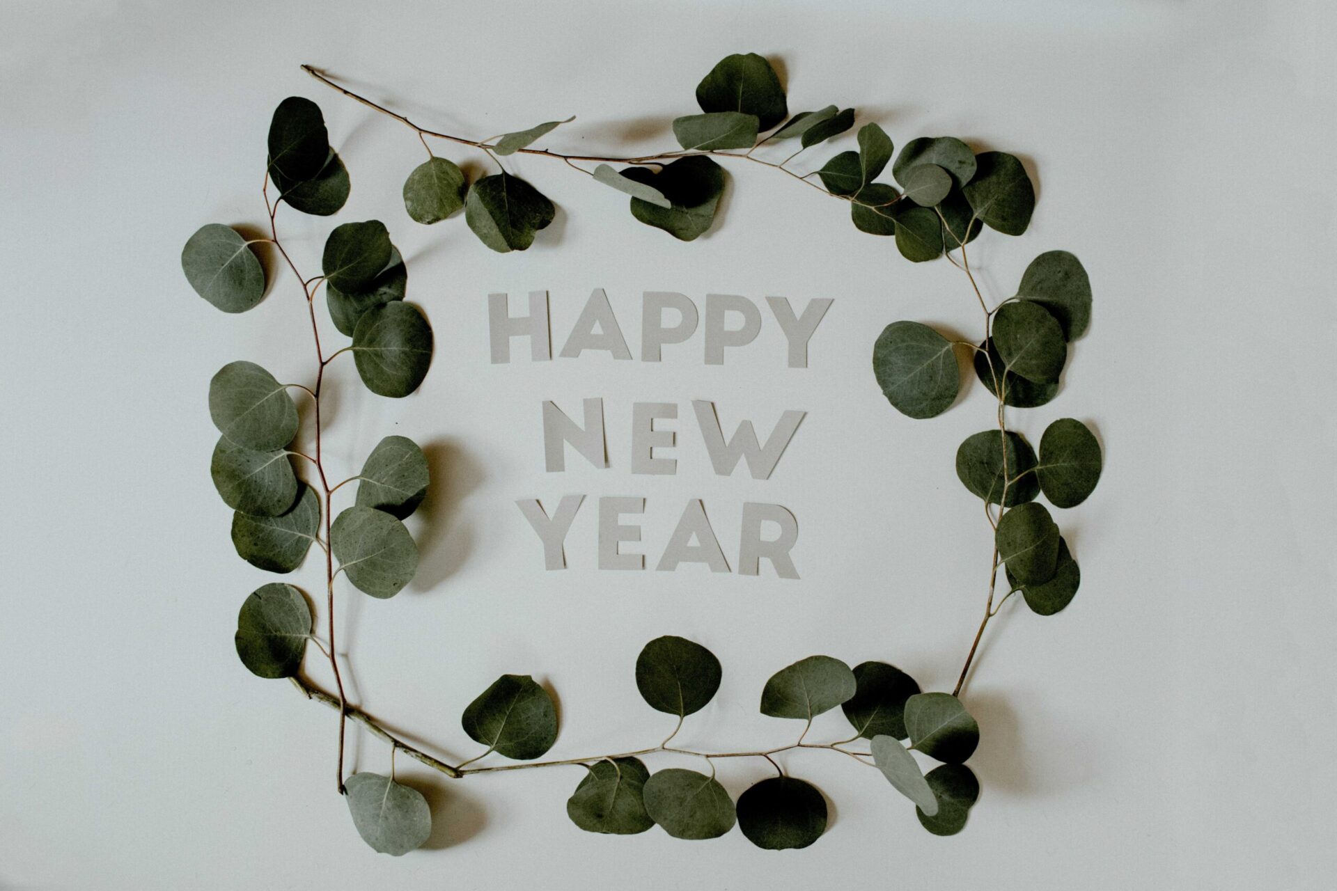 Kelly Sikkema Happy New Year